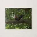 Recherche de kauai puzzles Hawaïen