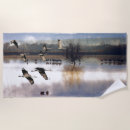 Recherche de pilotant Oiseaux