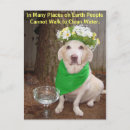 Recherche de puits cartes postales Chien
