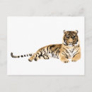 Recherche de tiger cartes postales Dessin animal