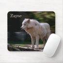 Recherche de loup tapis souris Nature