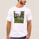 Recherche de nuances tshirts Pour lui