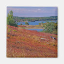 Recherche de landes magnets Coloré