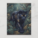 Recherche de panthère noire cartes postales Jungle