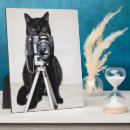 Recherche de caresse photographie Animal