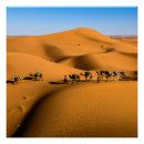 Recherche de sable dunes posters Afrique