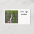 Recherche de arbre de bonsaïs Horticulture