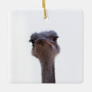 Recherche de autruche ornements Animal