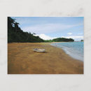 Recherche de santos cartes postales Plage