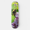 Recherche de adolescent skateboards Coloré