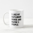Recherche de cheval de haflinger tasses Équestre
