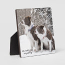 Recherche de animaux articles Pour tous