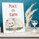 Recherche de renard plaques Hiver