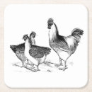 Recherche de animal dessous de verres Poulet