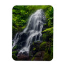 Recherche de danita delimont magnets Forest