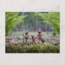 Recherche de pied cartes postales Drôle