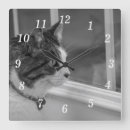 Recherche de réflexion art Animal