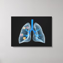 Recherche de cavité art Illustration