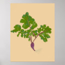 Recherche de fruits légumes posters Jardin
