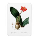 Recherche de impressions de botanique magnets Fleurs