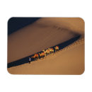Recherche de chameau magnets Historique
