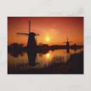 Recherche de roseau cartes postales Vacances