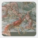 Recherche de écrevisse autocollants Crustacés