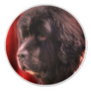 Recherche de chien blanc boutons et poignées de porte Mignon