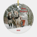Recherche de chevaux de trait ornements Percheron