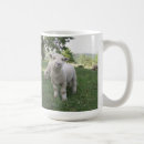 Recherche de lampe tasses Mouton