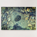 Recherche de fossiles puzzles Pour tous