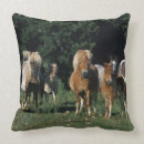 Recherche de miniature coussins Plomb langrish