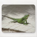 Recherche de iguane tapis souris Lézard
