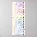 Recherche de évolution posters La science