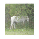 Recherche de élevage photographie Animaux