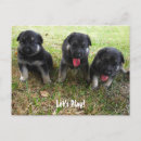 Recherche de template mousepads Chien