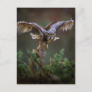 Recherche de callaway posters Géorgie