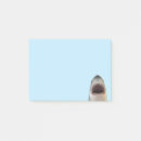 Recherche de attaques Requin