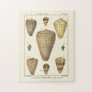 Recherche de sepia puzzles Vie marine