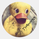 Recherche de plastique autocollants Canard en caoutchouc