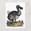 Recherche de doodoo cartes postales Animaux