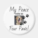 Recherche de de citation refrigérateur magnets Coeur