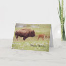 Recherche de bison anniversaire cartes Nature