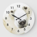 Recherche de mammif horloges Pour tous