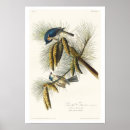 Recherche de tireur posters Oiseau