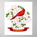 Recherche de oiseau cardinal rouge posters Virginie