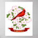 Recherche de oiseau cardinal rouge posters Cardinaux
