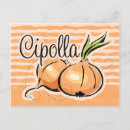 Recherche de oignons cartes postales Nourriture