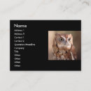 Recherche de hibou mignon cartes visite Animal