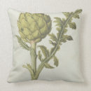 Recherche de artichaut coussins Botanique